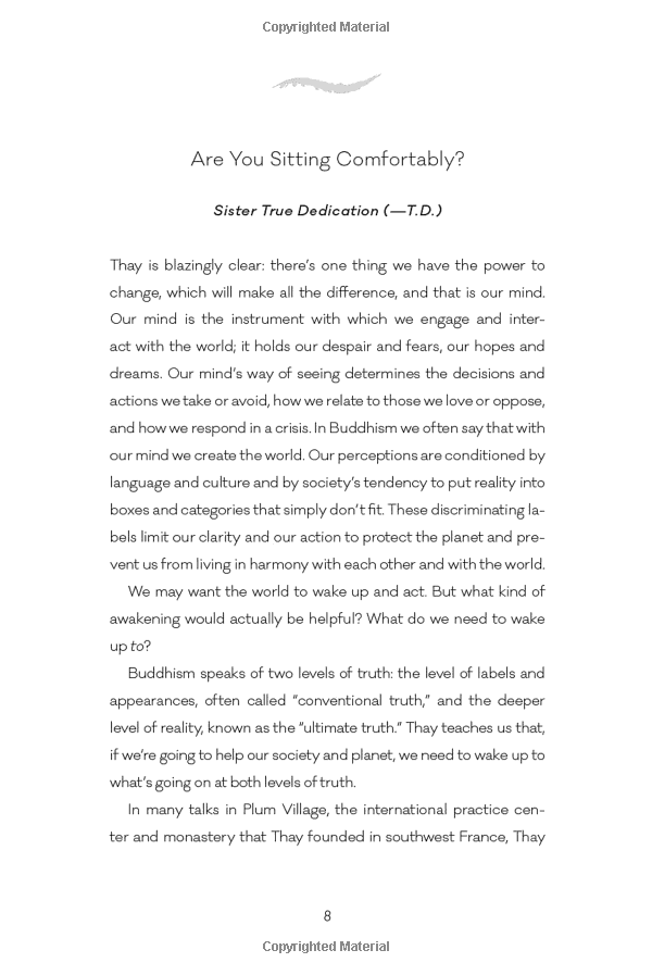 zen and the art of saving the planet