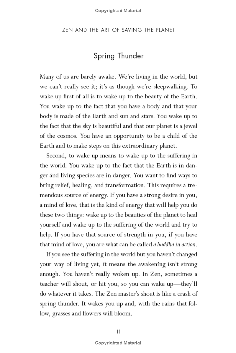 zen and the art of saving the planet