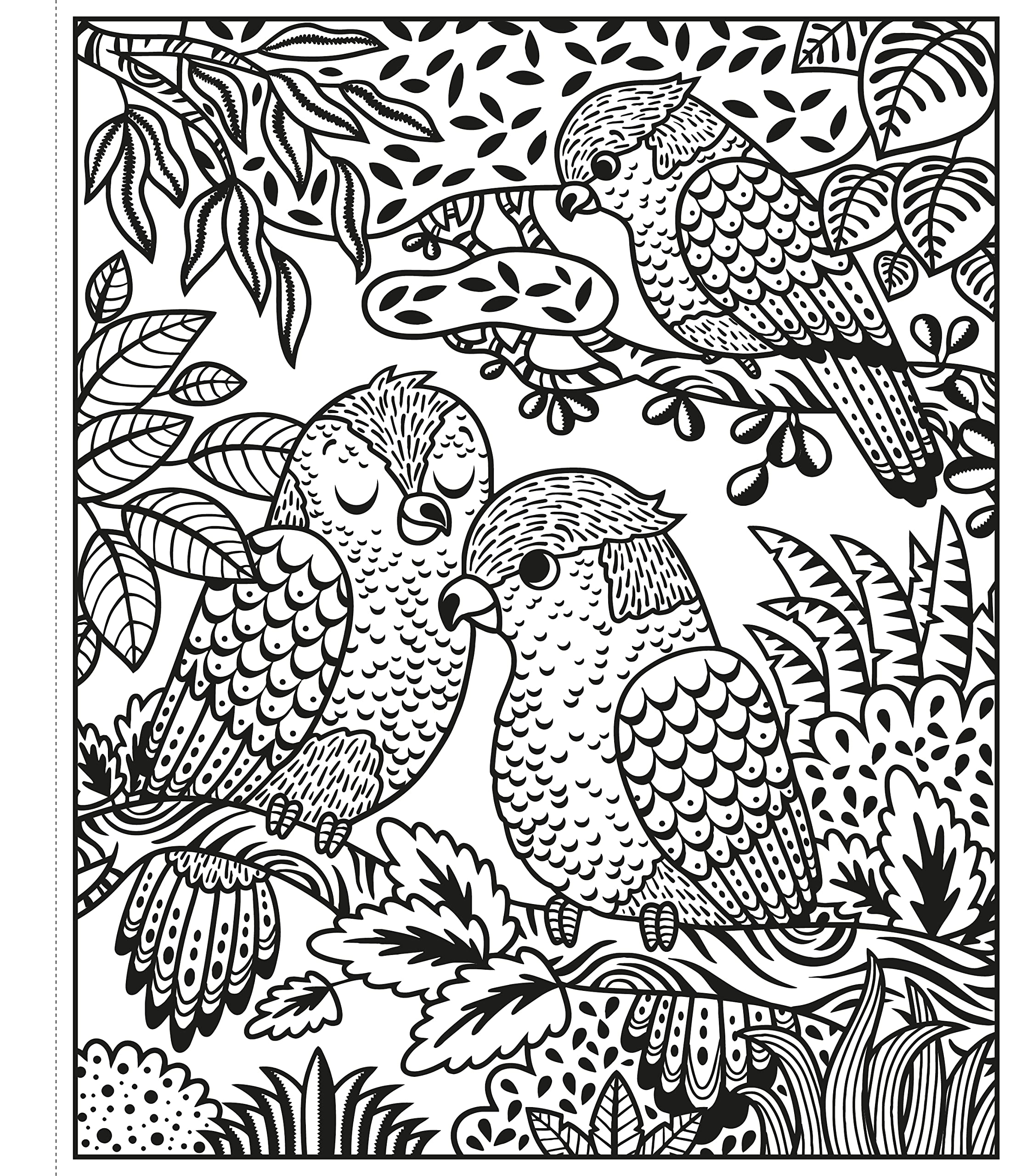 zoo magic painting book