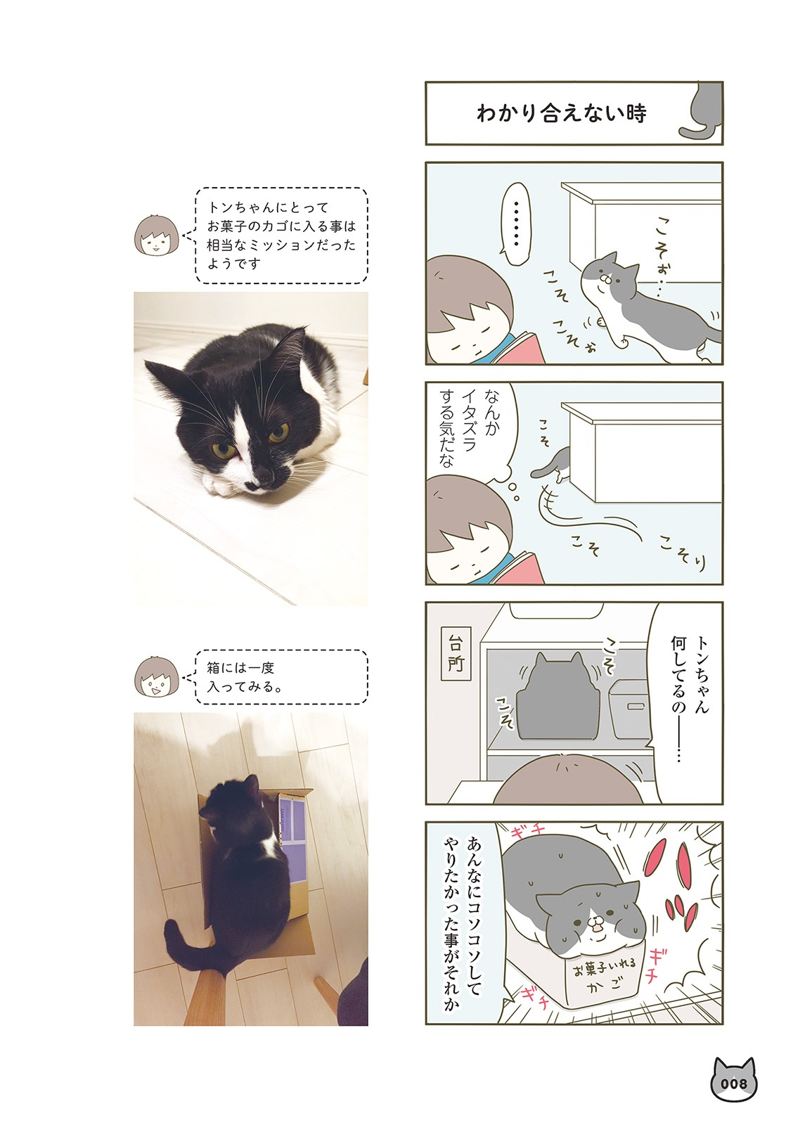 うちの猫がまた変なことしてる。- uchi no neko ga mata hen na koto shiteru. 1