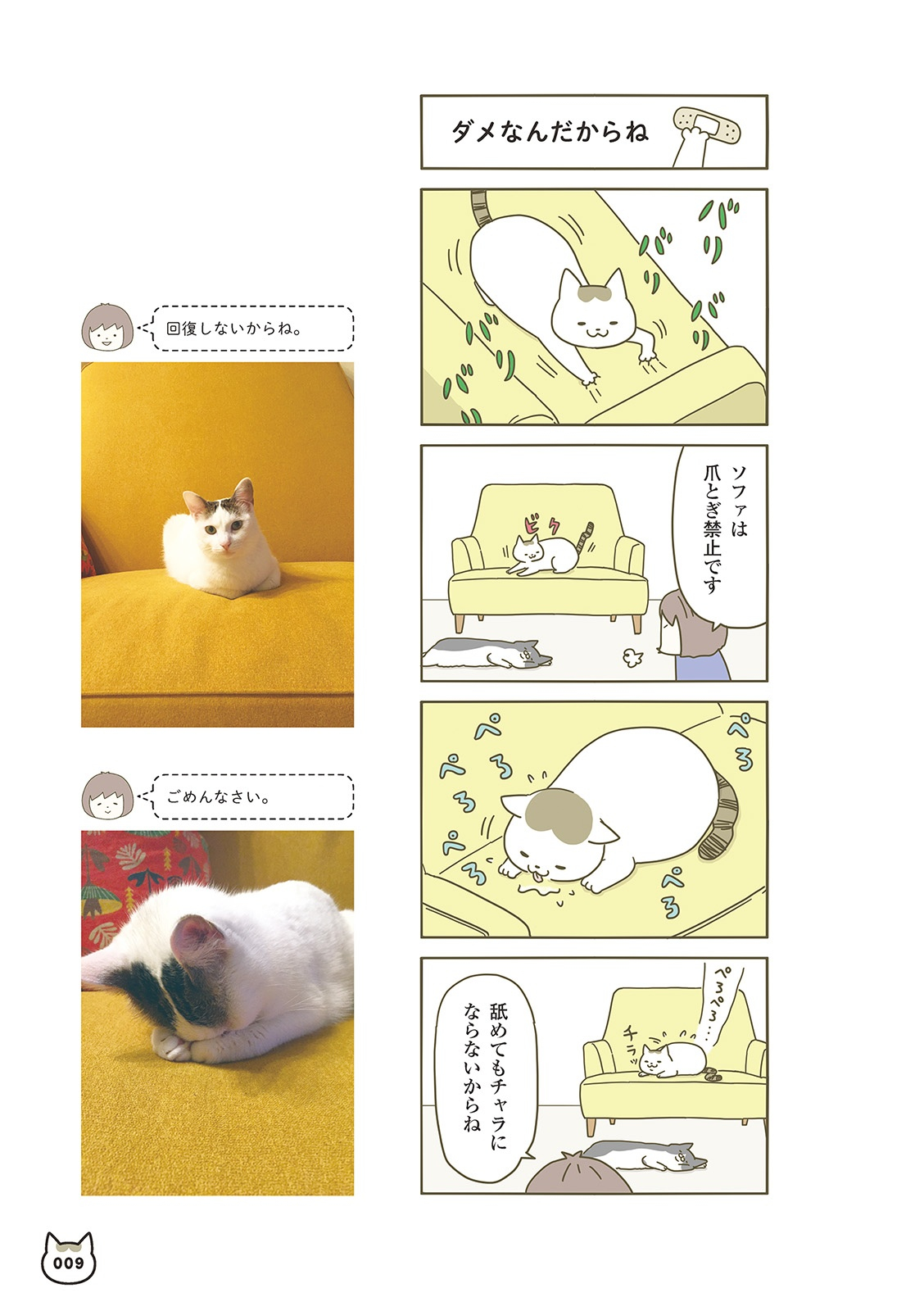 うちの猫がまた変なことしてる。- uchi no neko ga mata hen na koto shiteru. 1