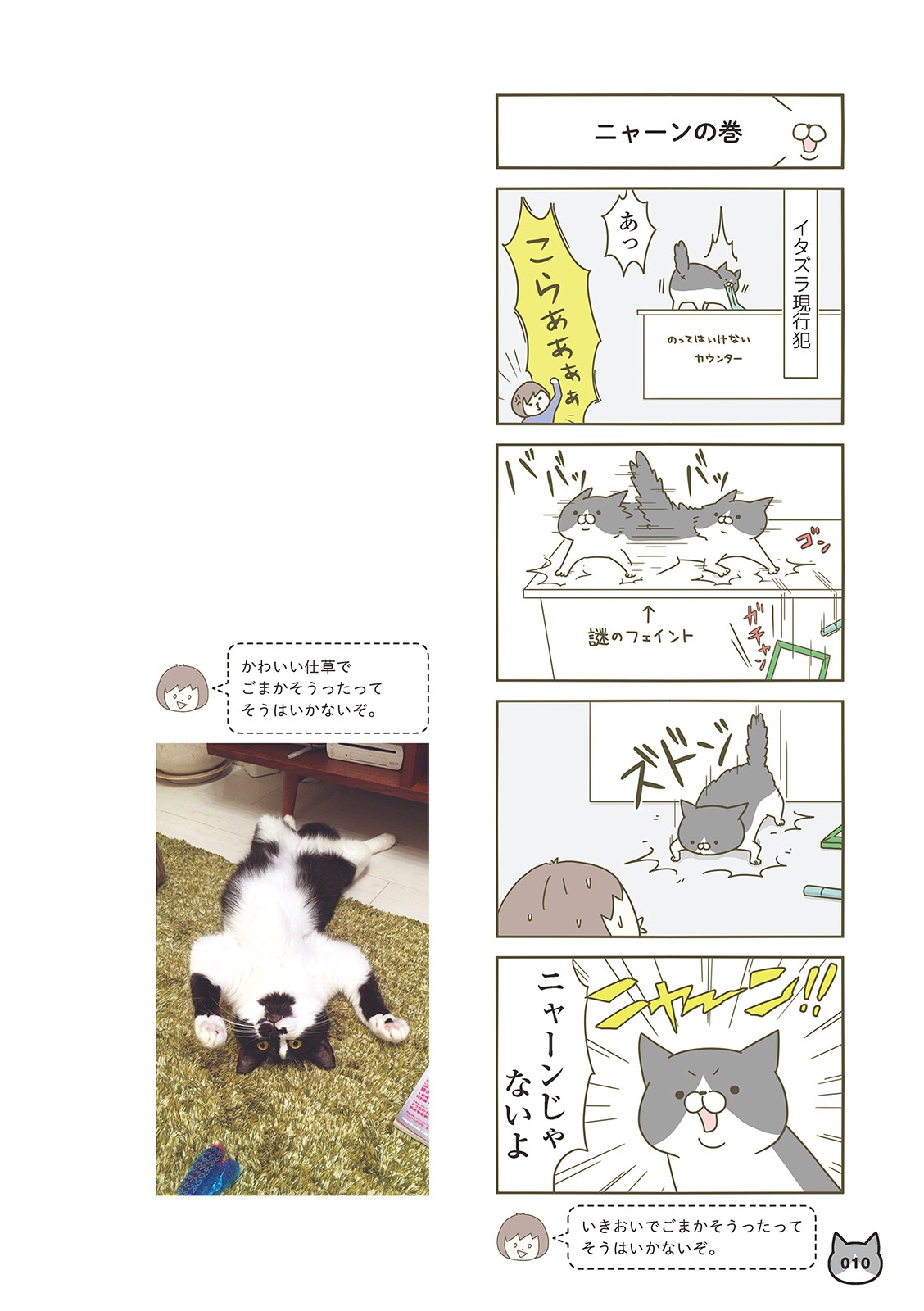 うちの猫がまた変なことしてる。- uchi no neko ga mata hen na koto shiteru. 1