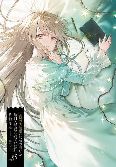 お隣の天使様にいつの間にか駄目人間にされていた件 8.5 - the angel next door spoils me rotten 8.5 (light novel)