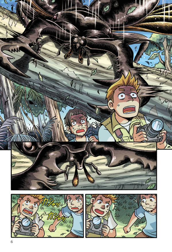 どっちが強い!? カブトムシvsクワガタムシ 昆虫王、決定戦 - docchi ga tsuyoi!? kabutomushi bui esu kuwagatamu