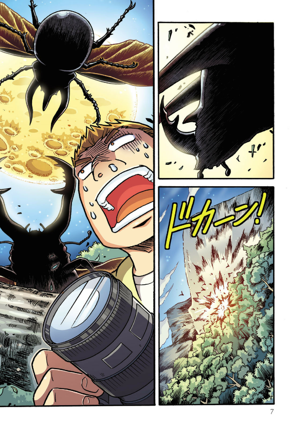 どっちが強い!? カブトムシvsクワガタムシ 昆虫王、決定戦 - docchi ga tsuyoi!? kabutomushi bui esu kuwagatamu