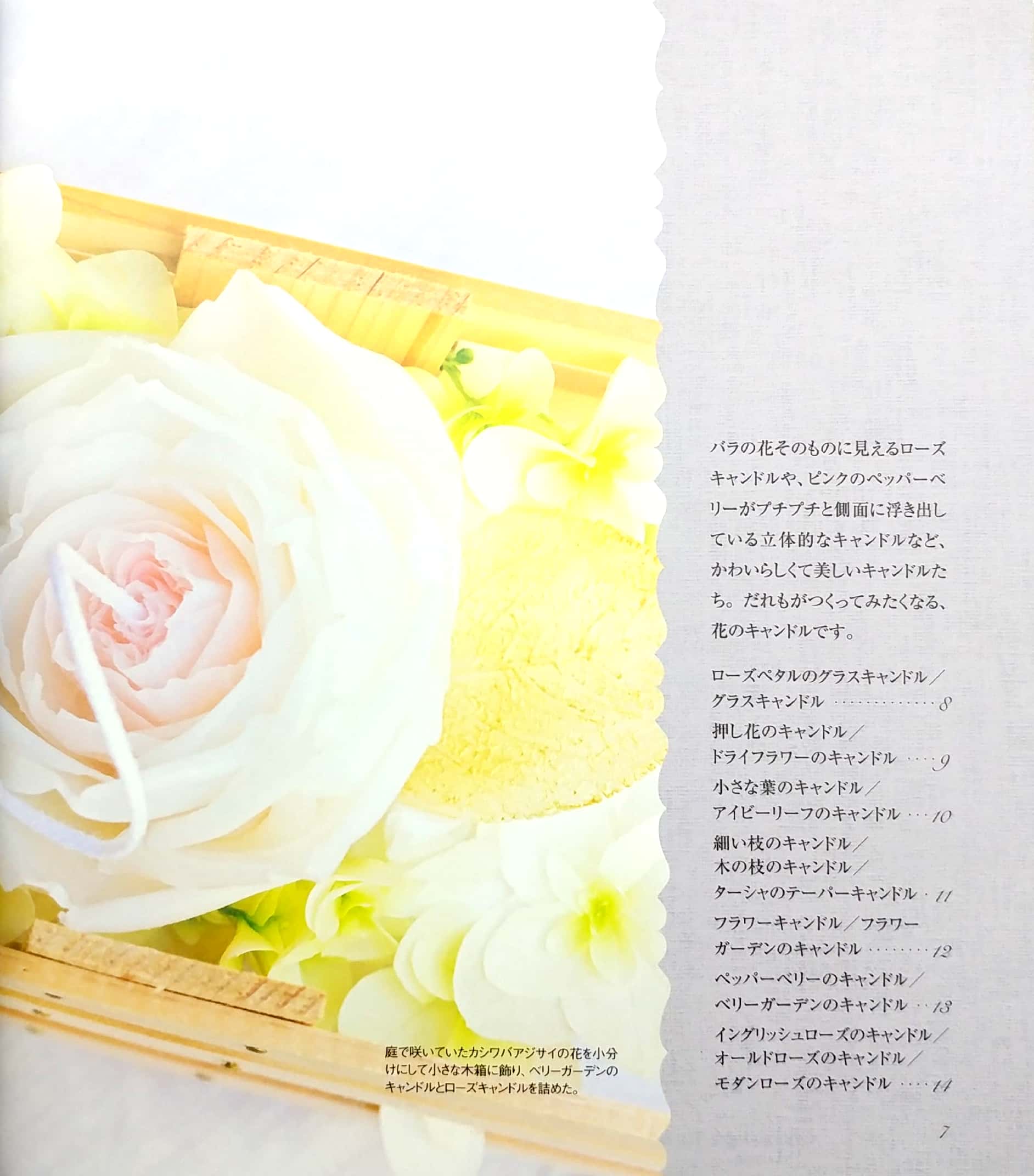はじめてのフラワーキャンドル 飾る 灯す 贈る - hajimete no furawa kyandoru