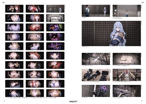 シン・エヴァンゲリオン劇場版全記録全集 - Shin Evangerion Gekijouban Zen Kiroku Zenshuu Bi