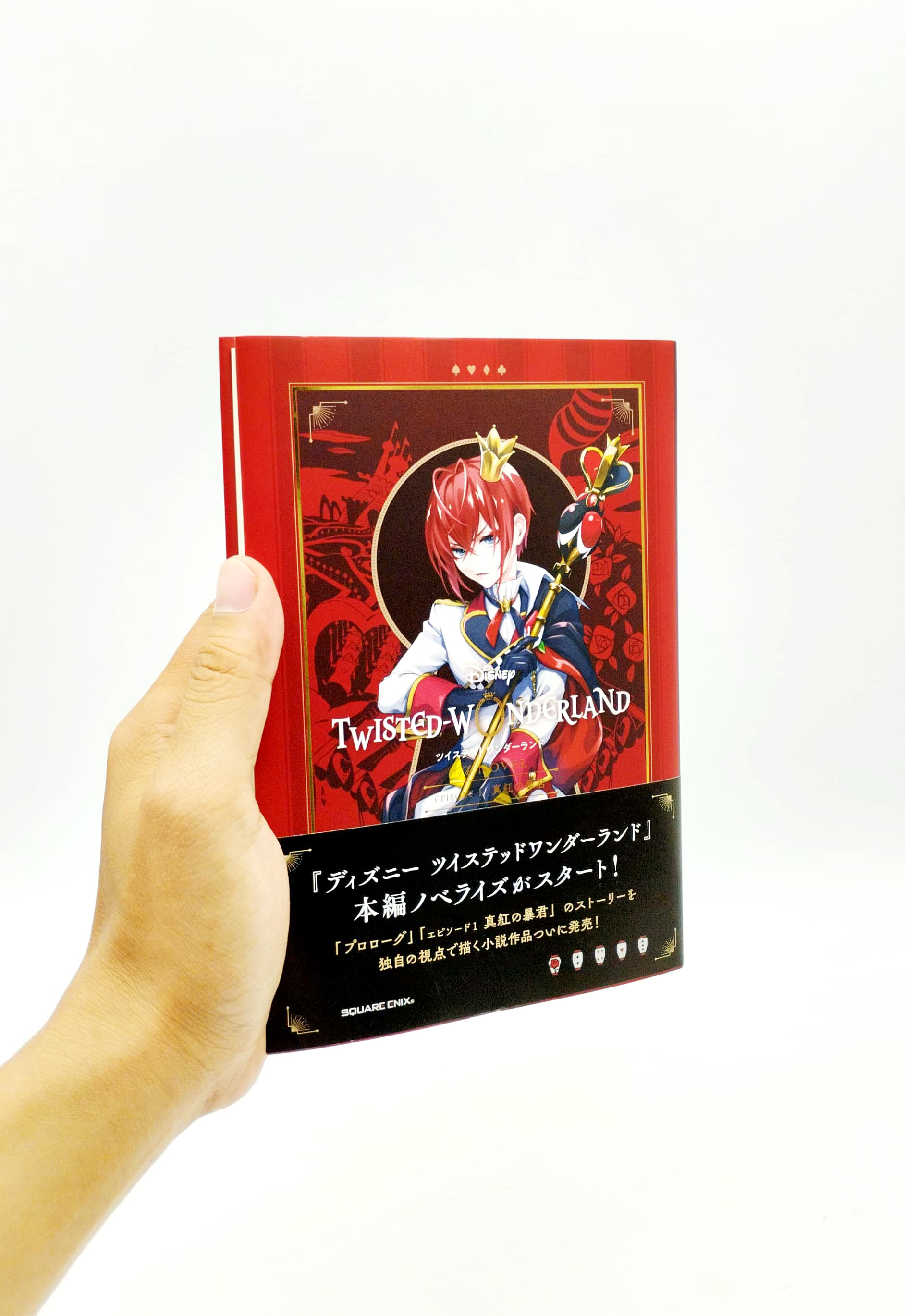 ディズニー ツイステッドワンダーランド the novel 1 - disney twisted wonderland the novel 1