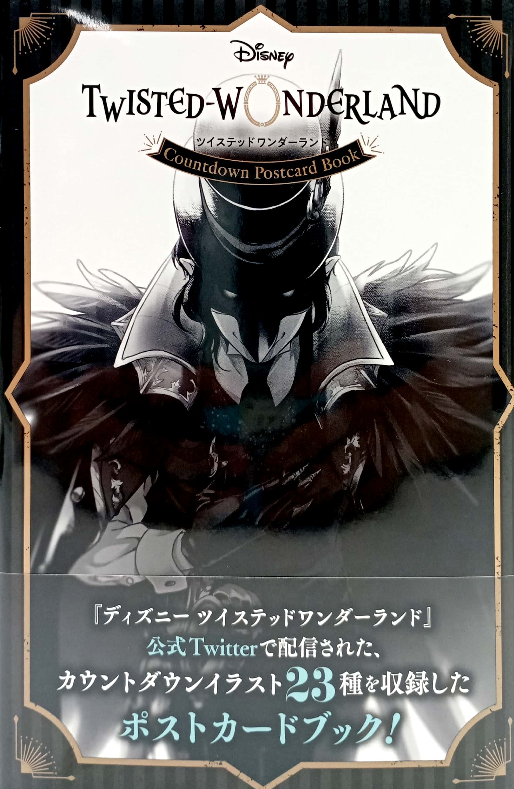 『ディズニー ツイステッドワンダーランド』カウントダウン ポストカードブック - disney: twisted-wonderland countdown postcard book