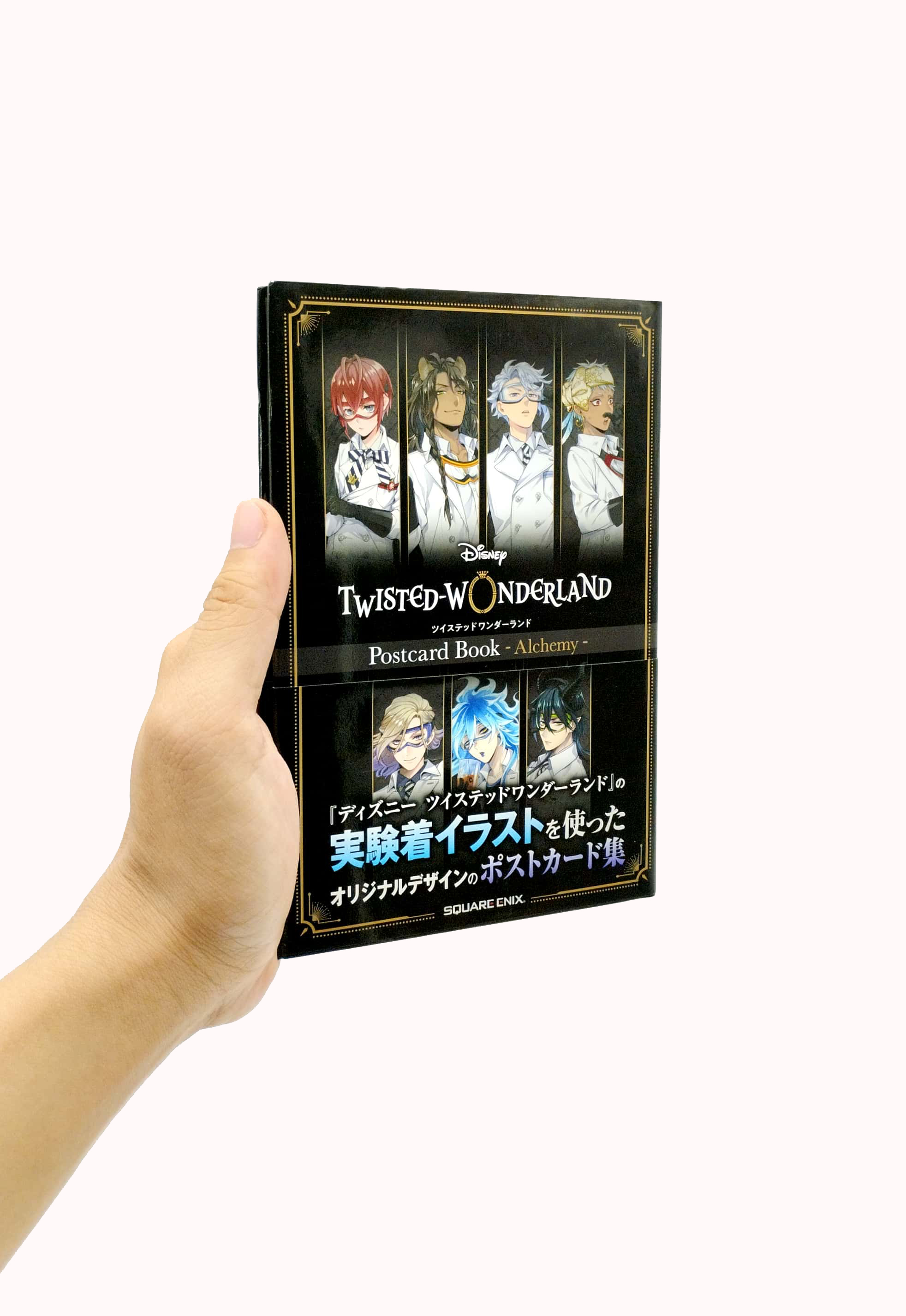 『ディズニー ツイステッドワンダーランド』ポストカードブック - alchemy