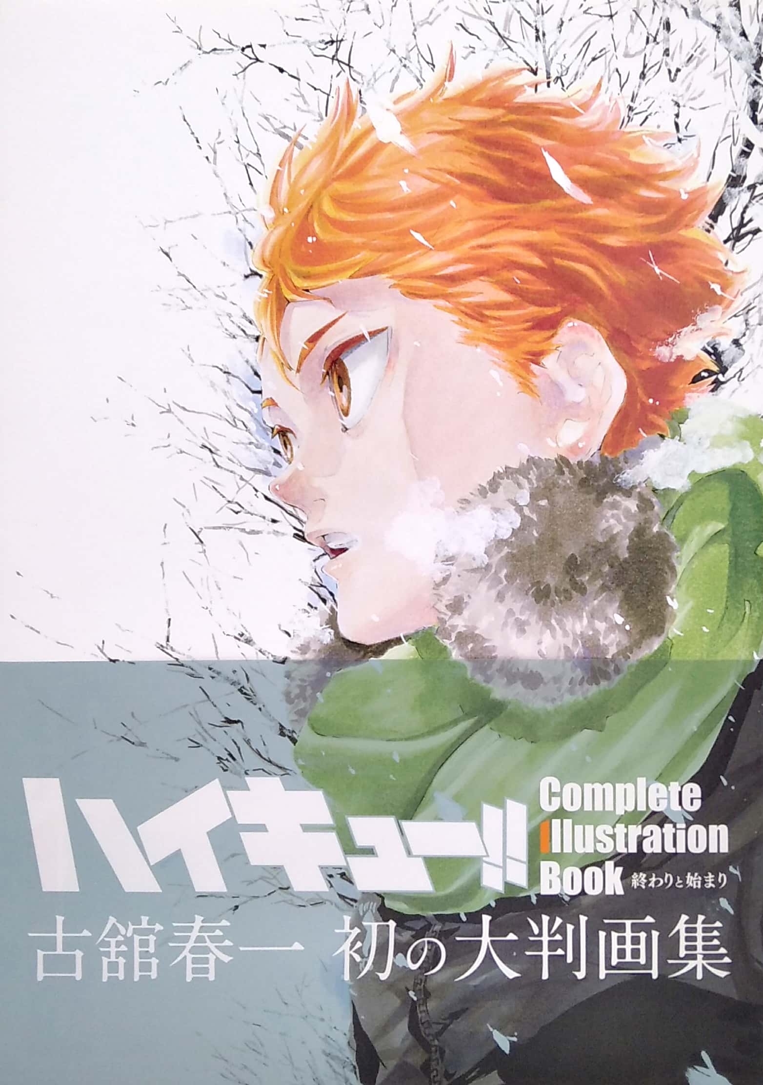 ハイキュー!! complete illustration book 終わりと始まり (愛蔵版コミックス)