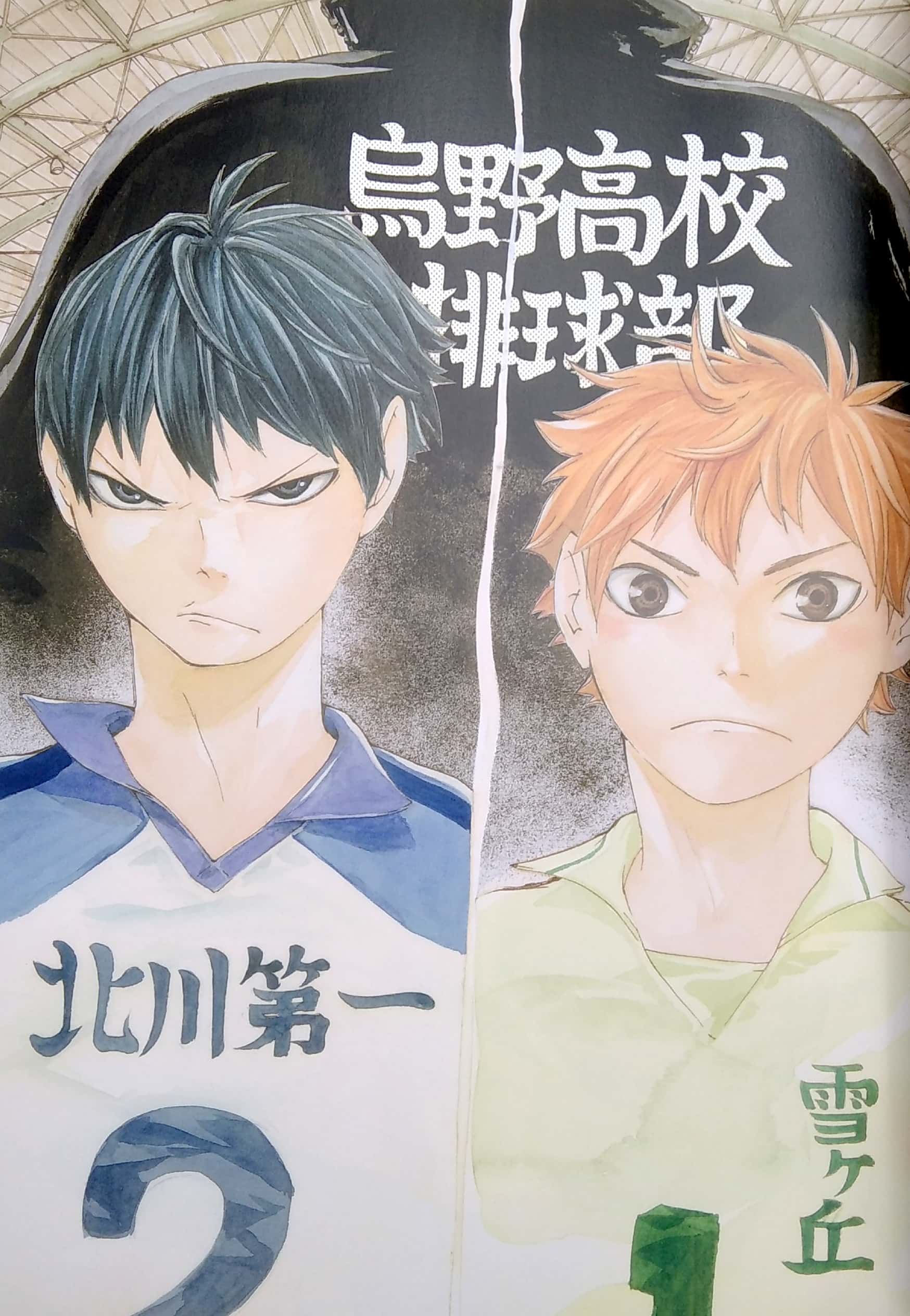 ハイキュー!! complete illustration book 終わりと始まり (愛蔵版コミックス)