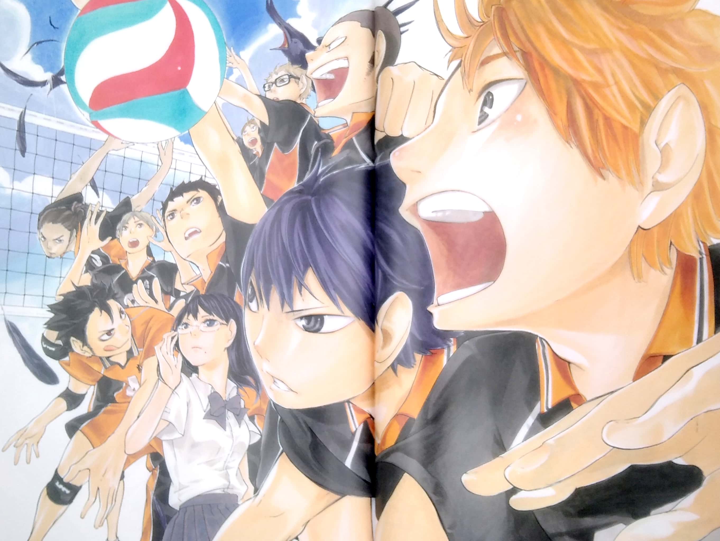 ハイキュー!! complete illustration book 終わりと始まり (愛蔵版コミックス)