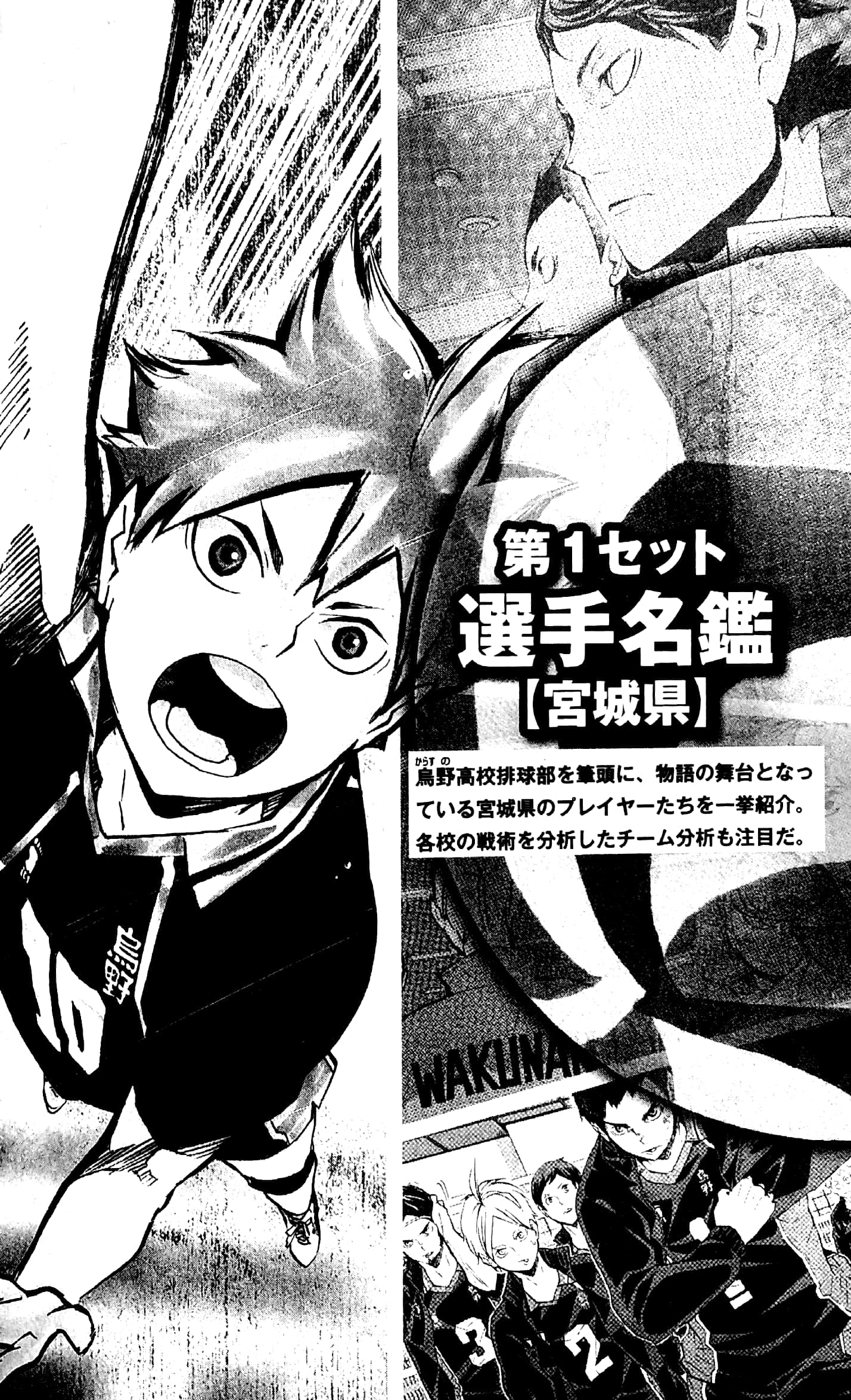 ハイキュー!! コンプリートガイドブック 排球本! - haikyuu!! complete guidebook volleyball book!