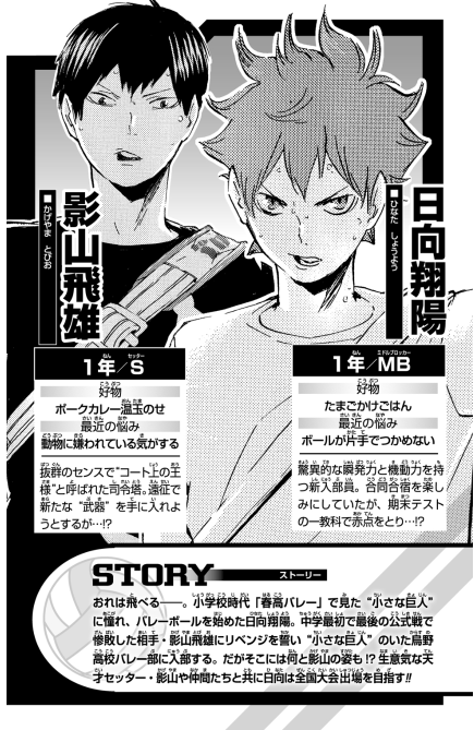 ハイキュー!! ショーセツバン!! 3 - haikyu!! shosetsu ban!! 3