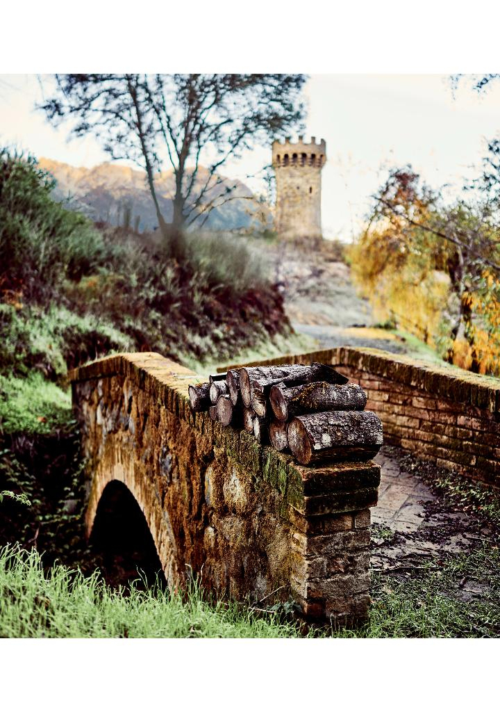 ヒーローズ・フィースト 美食の多元宇宙 d&d 公式レシピガイド - heroes fu isuto bishoku no tagen uchu d&d official recipe guide dungeons & dragons