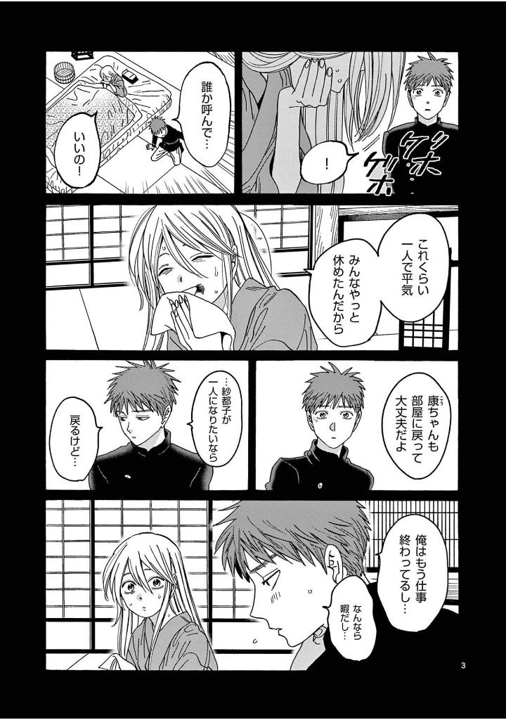 ホタルの嫁入り - hotaru no yomeiri 4 - firefly wedding