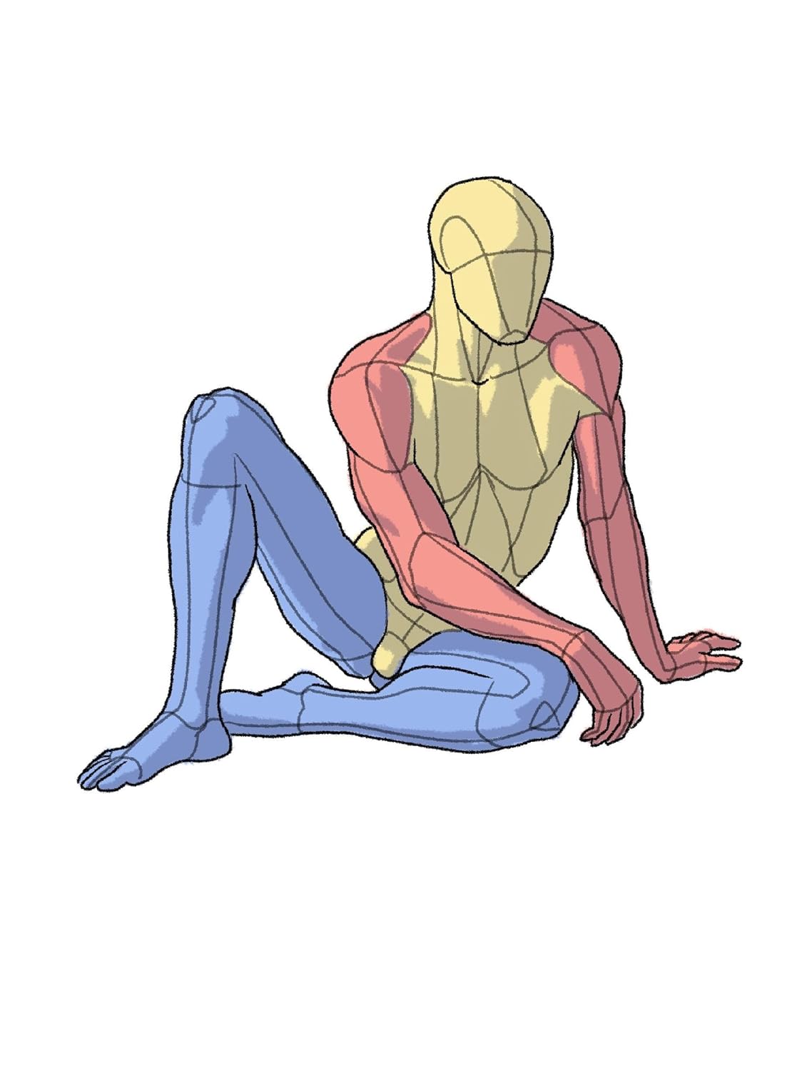 ポーズの美術解剖学 - pose no bijutsu kaibo-gaku (art anatomy of poses)