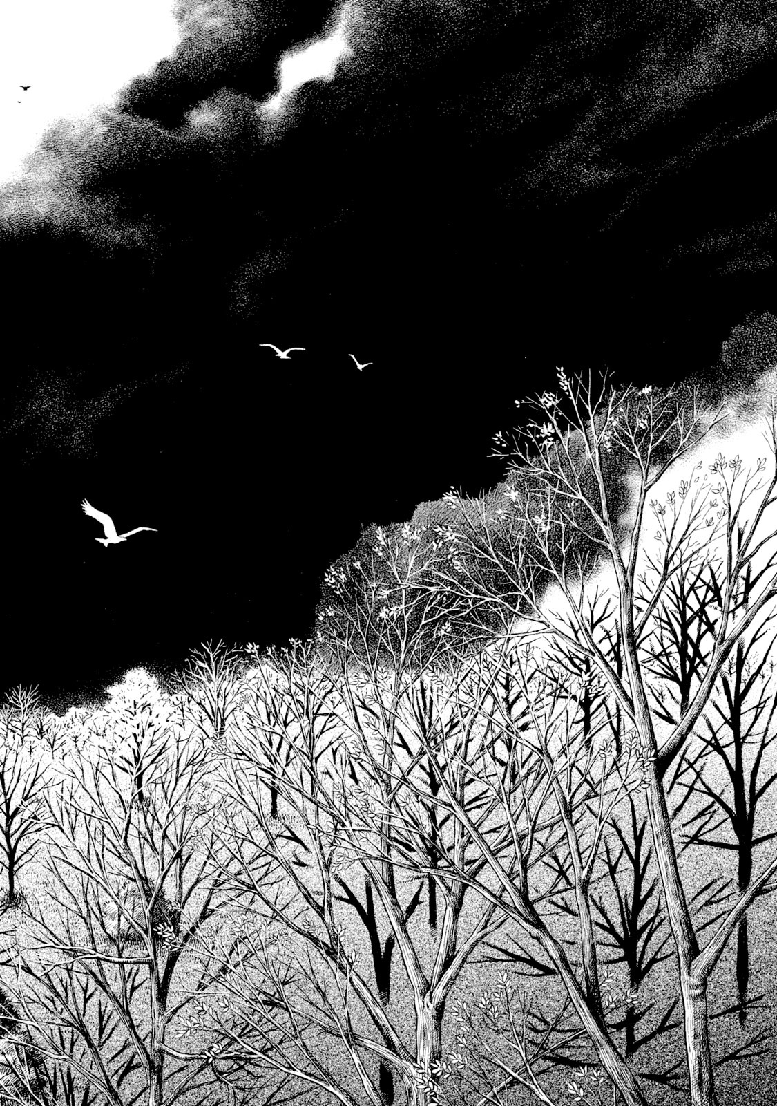 ヴィンランド・サガ - vinland saga 4