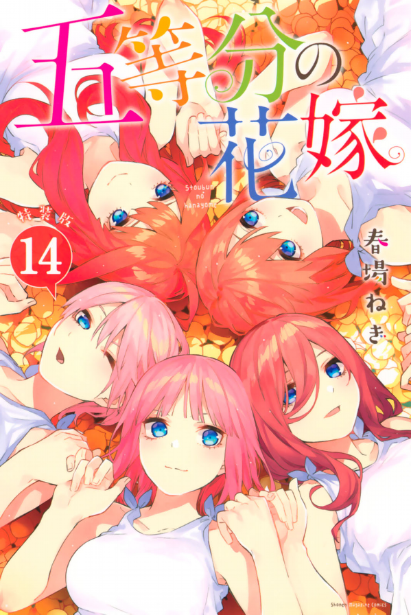 五等分の花嫁(14)特装版 (プレミアムkc) go toubun no hanayome toku sou 14