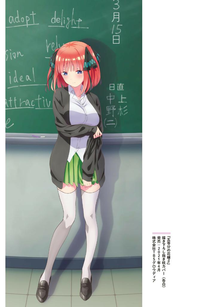 五等分の花嫁 ANIME VISUAL BOOK 二乃 - Nino Go Toubun No Hanayome Anime