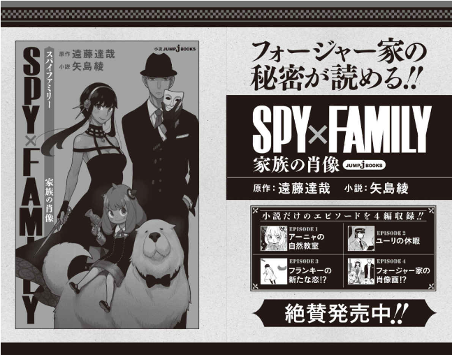 劇場版 spy×family code: white (light novel)