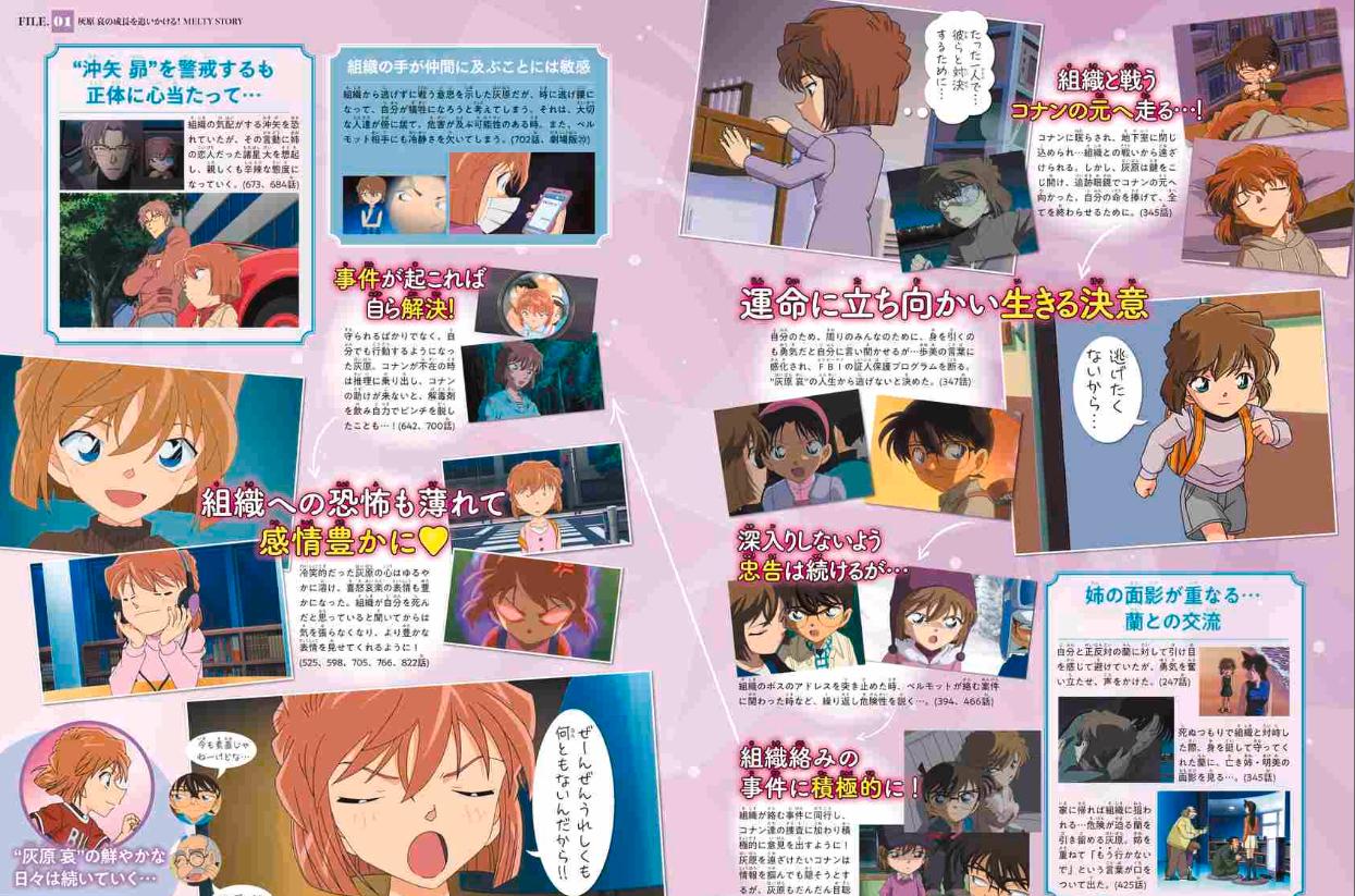 名探偵コナン 灰原 哀シークレットアーカイブス: 少年サンデーグラフィック - detective conan: secret archives ai haibara