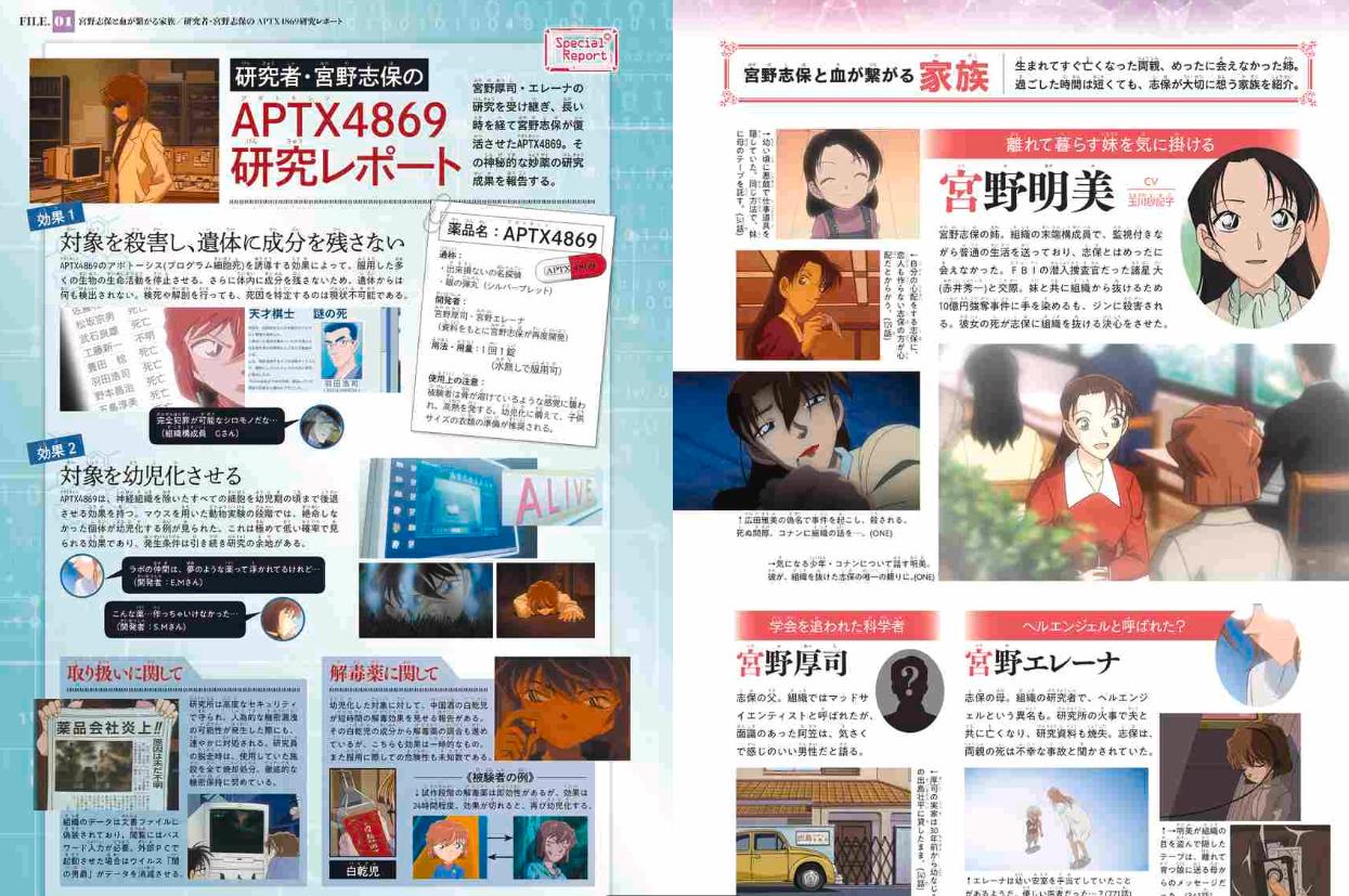 名探偵コナン 灰原 哀シークレットアーカイブス: 少年サンデーグラフィック - detective conan: secret archives ai haibara