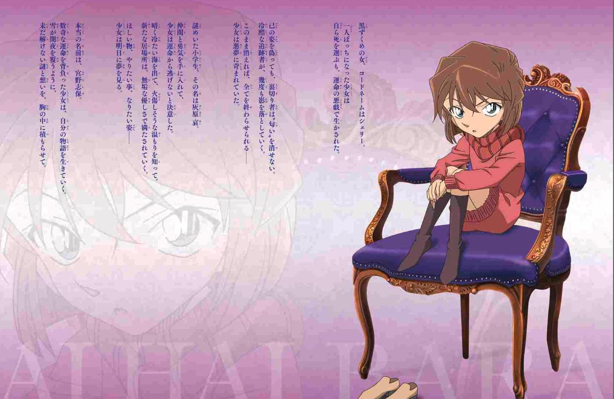 名探偵コナン 灰原 哀シークレットアーカイブス: 少年サンデーグラフィック - detective conan: secret archives ai haibara