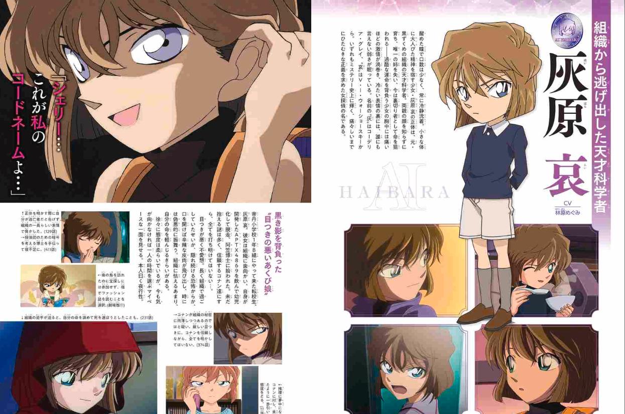 名探偵コナン 灰原 哀シークレットアーカイブス: 少年サンデーグラフィック - detective conan: secret archives ai haibara