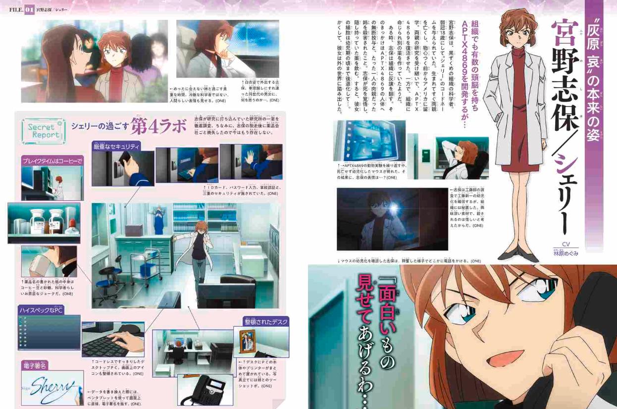 名探偵コナン 灰原 哀シークレットアーカイブス: 少年サンデーグラフィック - detective conan: secret archives ai haibara