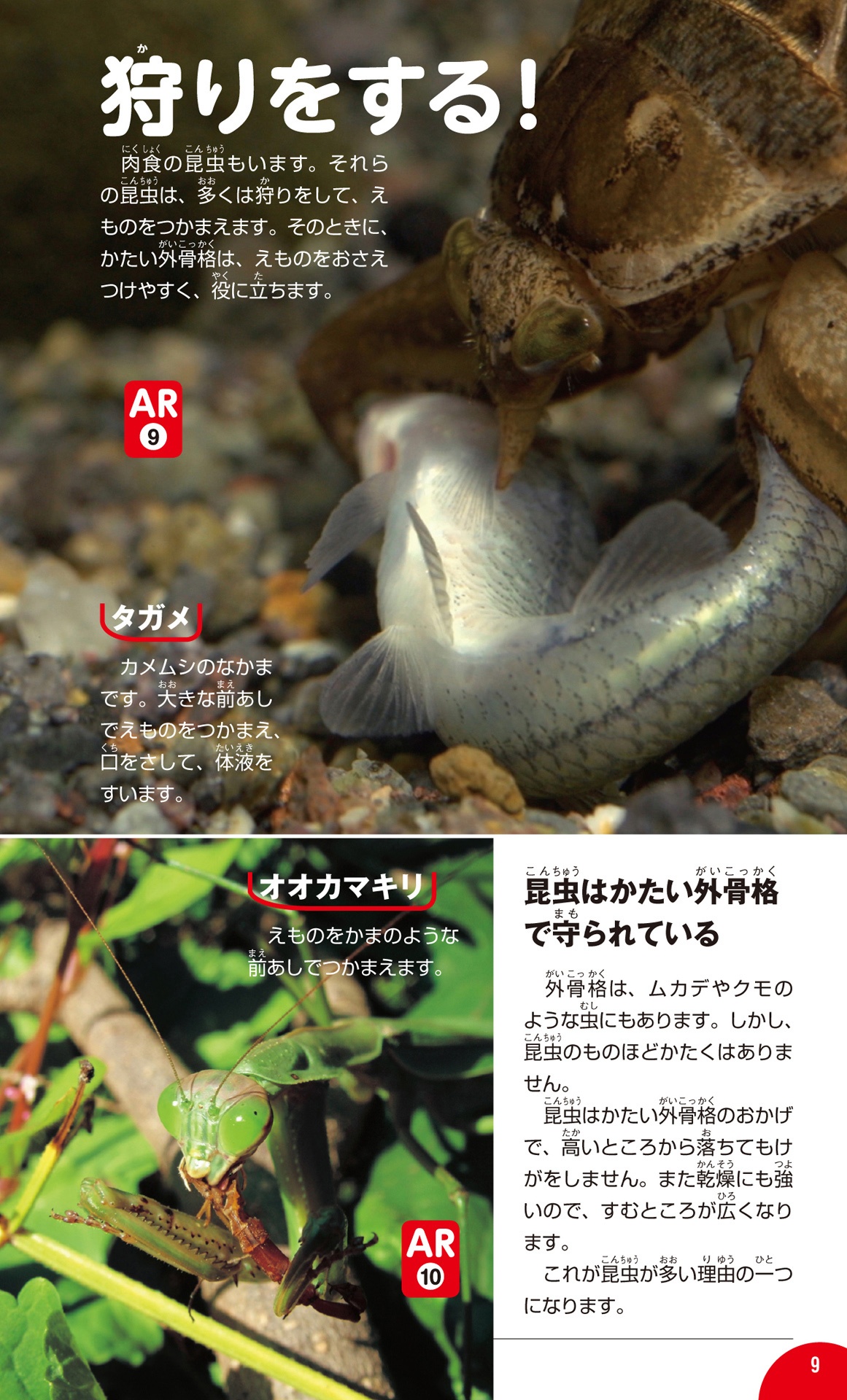 学研の図鑑live(ライブ)ポケット1 昆虫 konchuu