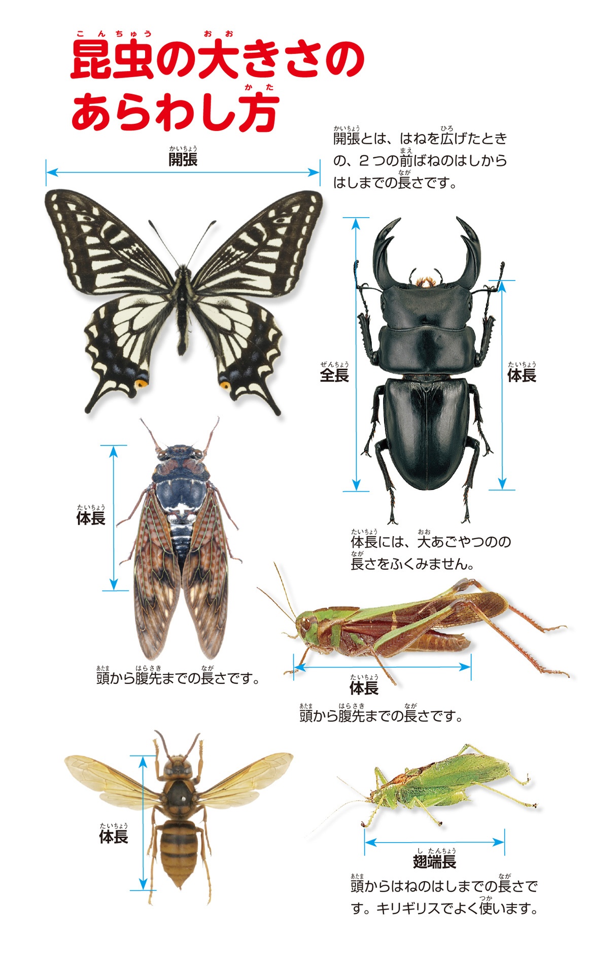 学研の図鑑live(ライブ)ポケット1 昆虫 konchuu