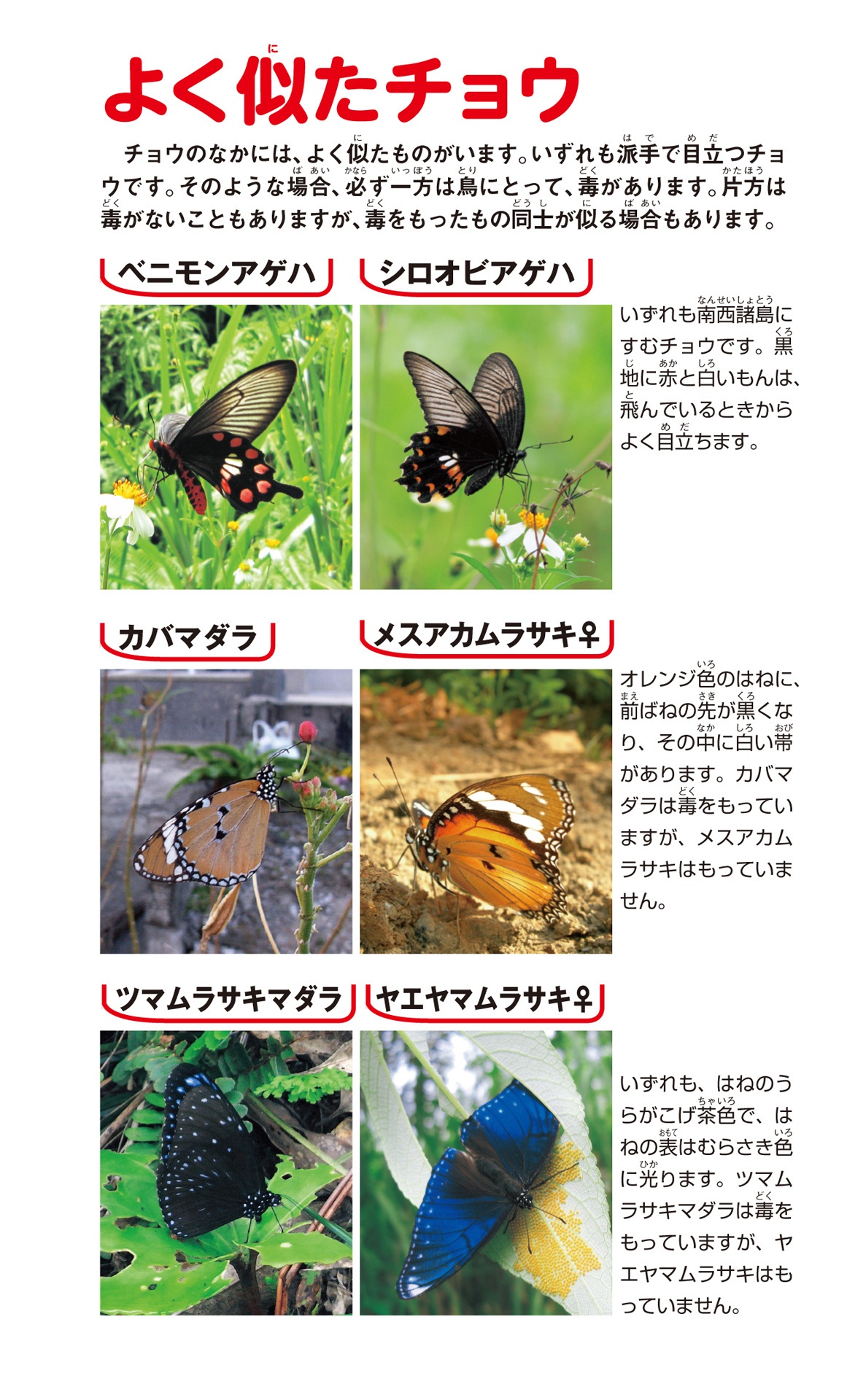 学研の図鑑live(ライブ)ポケット1 昆虫 konchuu