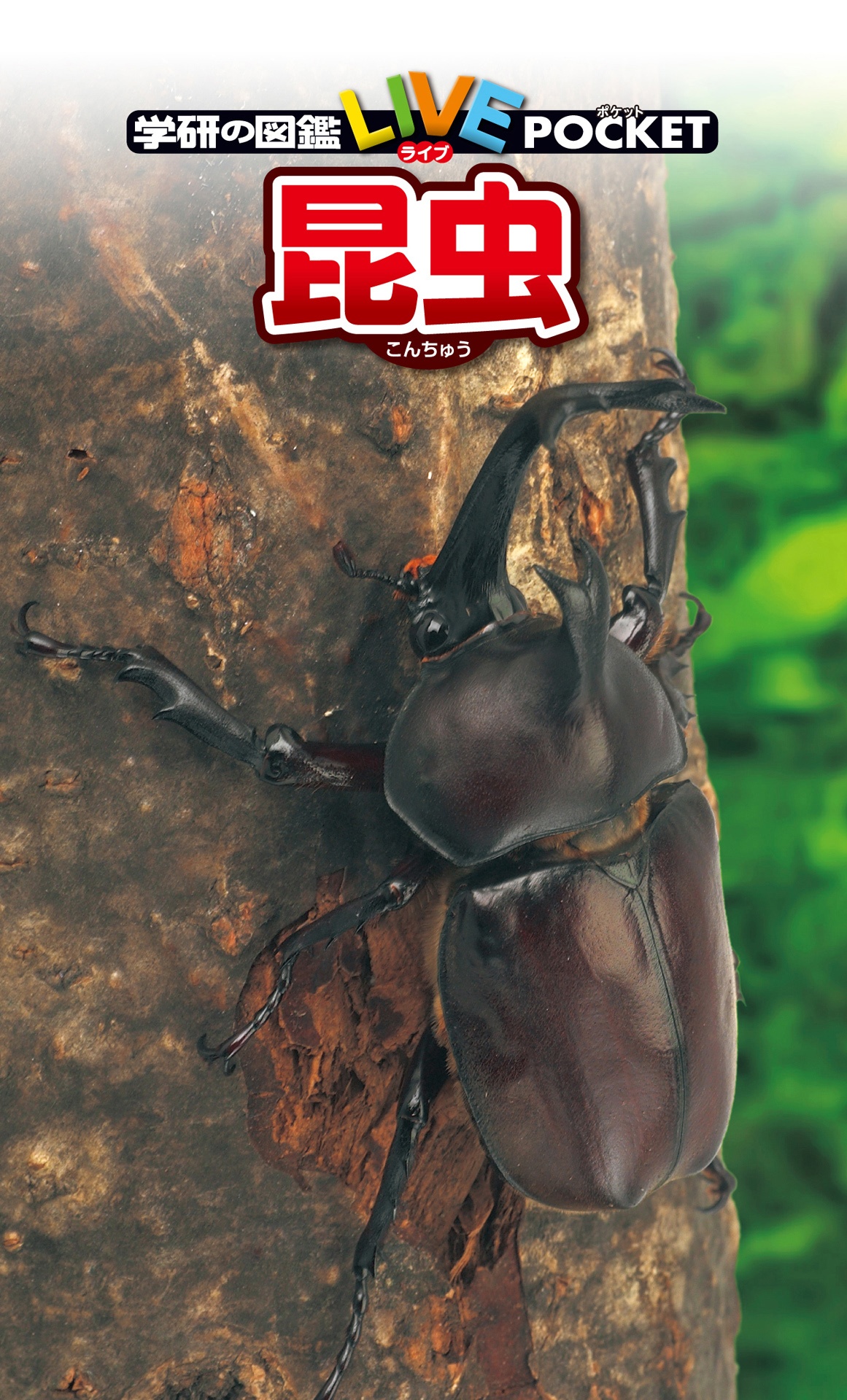 学研の図鑑live(ライブ)ポケット1 昆虫 konchuu