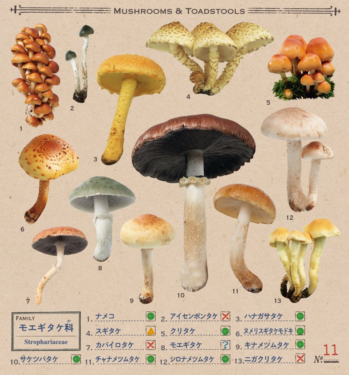 小学館の図鑑neo きのこシール - kinoko sticker