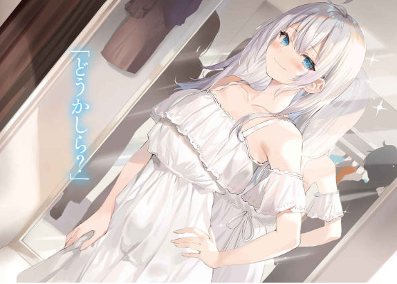 時々ボソッとロシア語でデレる隣のアーリャさん - tokidoki bosotto russia-go de dereru tonari no arya-san (light novel)