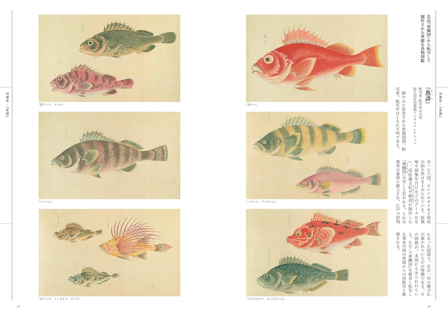 江戸の図譜 魚 - Edo No Zufu Sakana