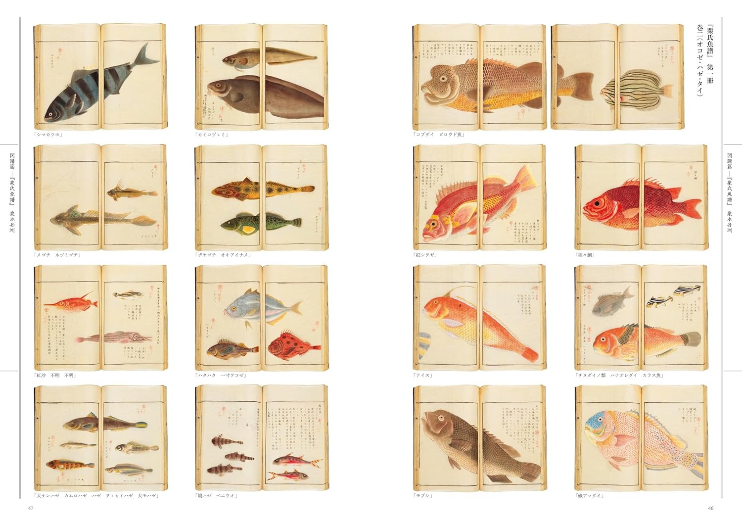 江戸の図譜 魚 - Edo No Zufu Sakana