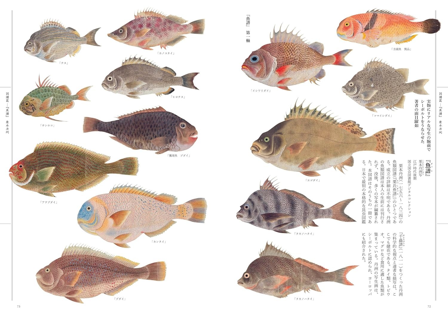 江戸の図譜 魚 - Edo No Zufu Sakana