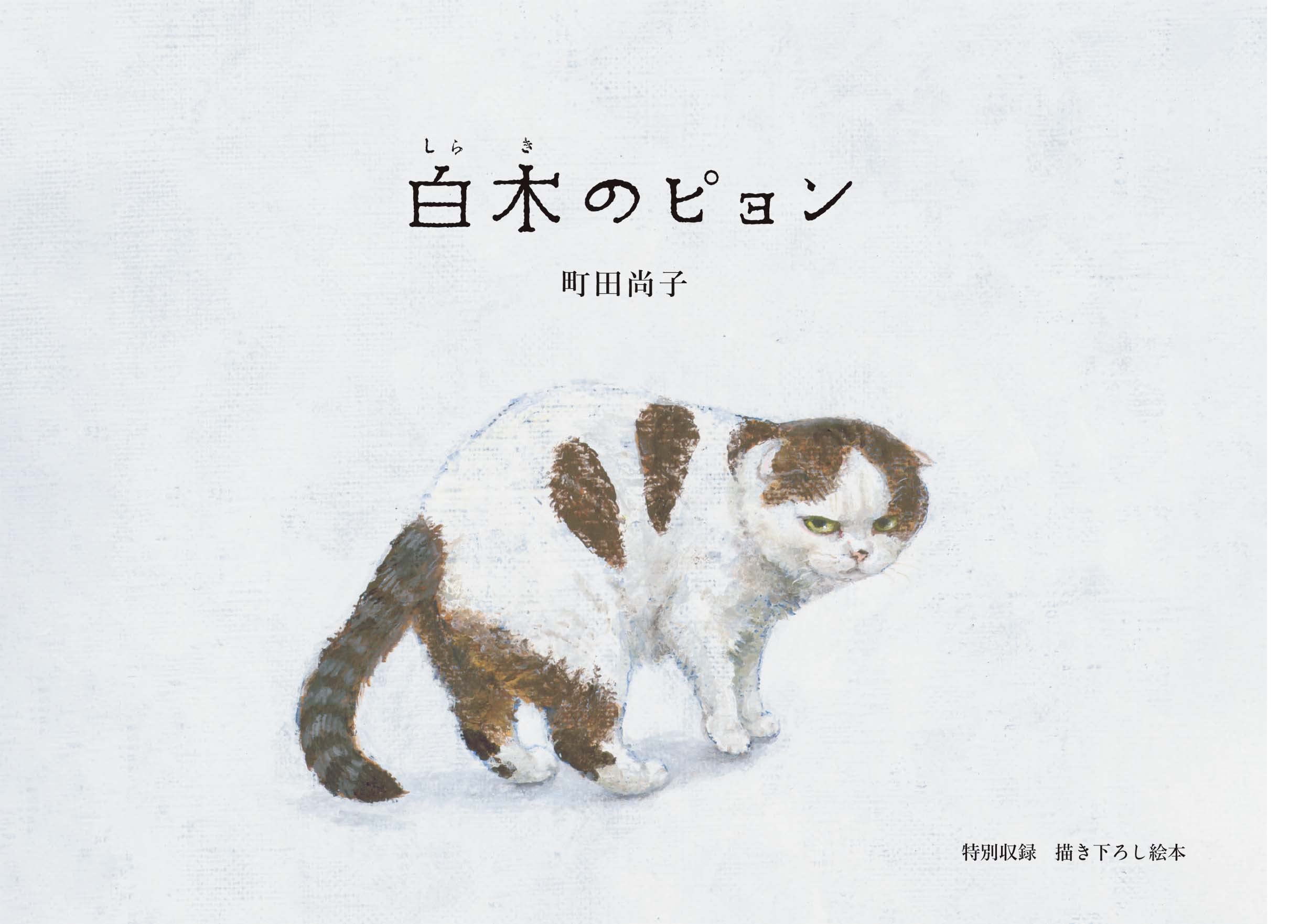 町田尚子画集 隙あらば猫 - sukiaraba neko machida hisako gashu