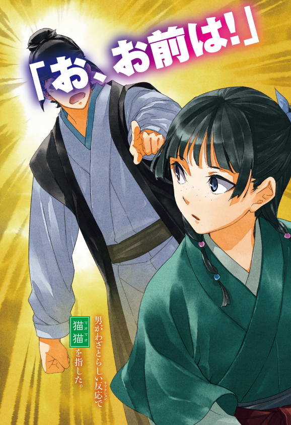 薬屋のひとりごと 10 - the apothecary diaries 10 (light novel)