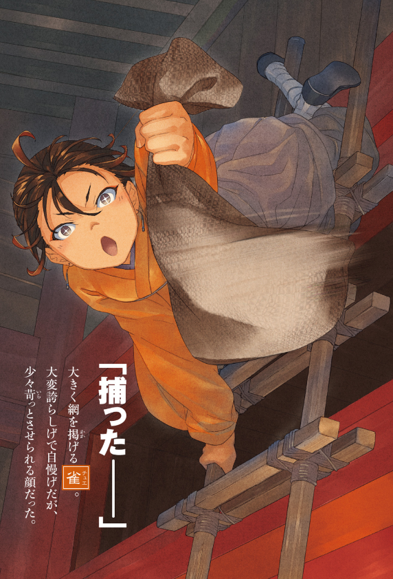 薬屋のひとりごと 10 - the apothecary diaries 10 (light novel)