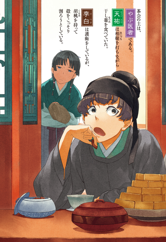 薬屋のひとりごと 10 - the apothecary diaries 10 (light novel)