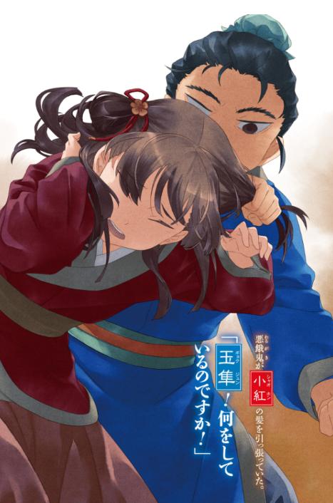 薬屋のひとりごと 12 - the apothecary diaries 12 (light novel)