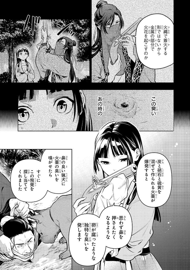 薬屋のひとりごと 13 - kusuriya no hitorigoto - the apothecary diaries 13