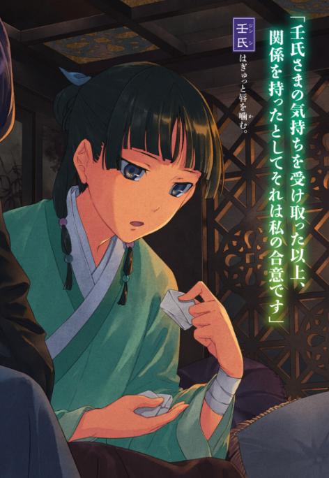 薬屋のひとりごと 13 - the apothecary diaries 13 (light novel)