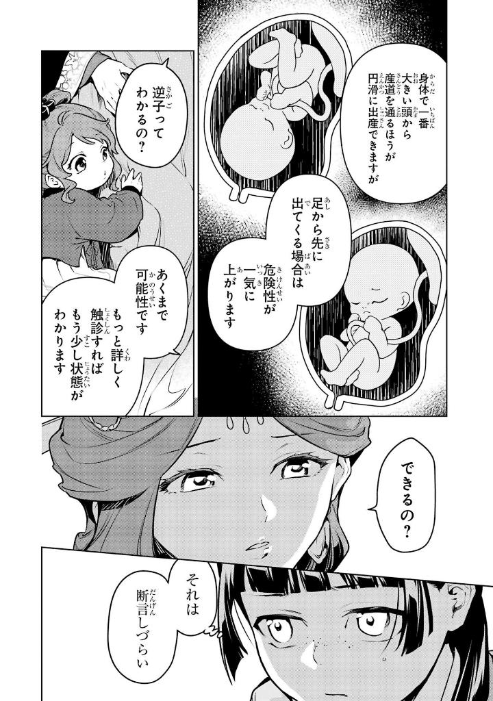 薬屋のひとりごと 14 - kusuriya no hitorigoto 14