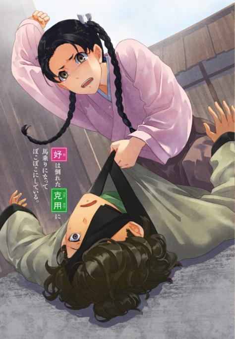 薬屋のひとりごと 14 - the apothecary diaries 14 (light novel)