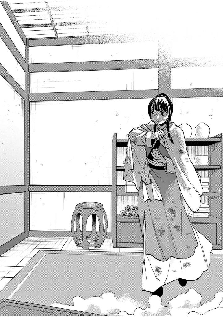 薬屋のひとりごと 19 - kusuriya no hitorigoto 19 - the apothecary diaries 19